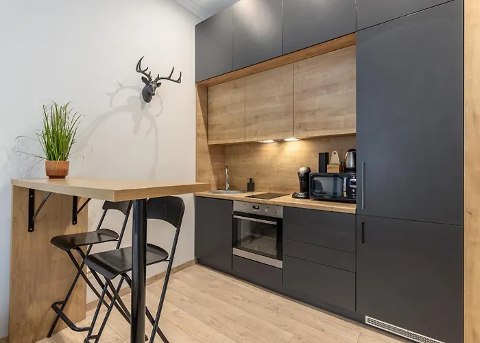 Budget Friendly Studio Near Arena Riga